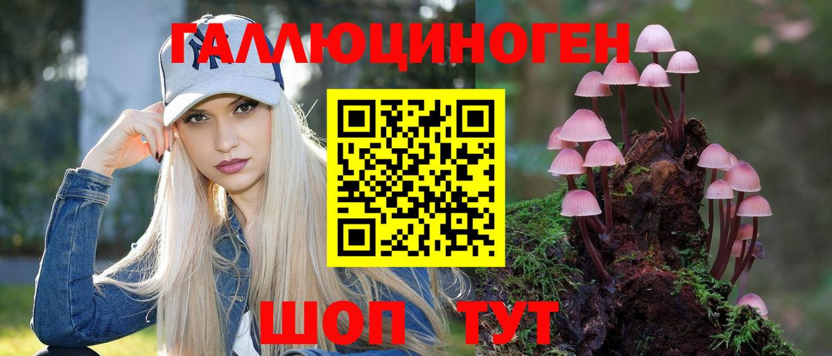 Псилоцибиновые грибы мицелий Кыштым